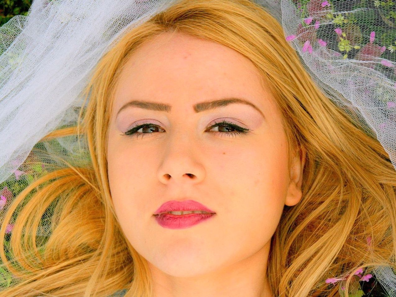 Mitoloji araştırmacısı